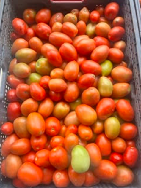 JAS Family Farms Organics image 20
